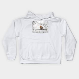 Robin On Frosty Branch Kids Hoodie